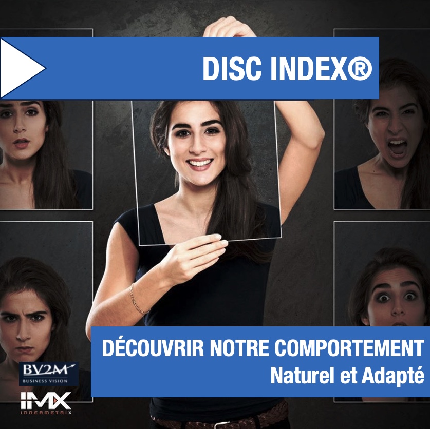 INNERMETRIX® les Comportements avec le DISC Index®