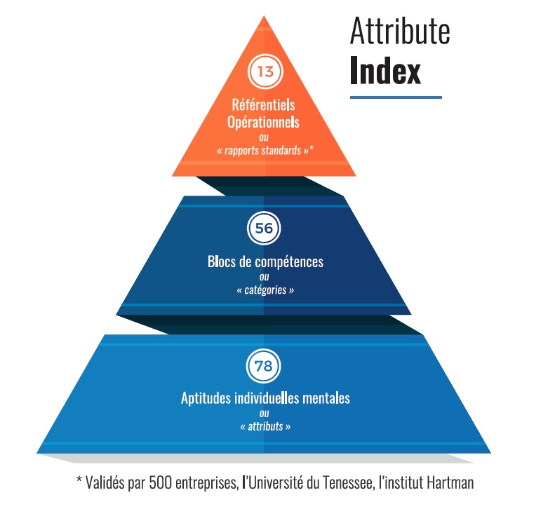INNERMETRIX® et les SOFT SKILLS avec l'ATTRIBUTE Index®