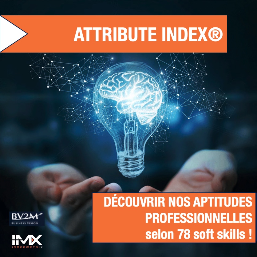 INNERMETRIX® et les SOFT SKILLS avec l'ATTRIBUTE Index®