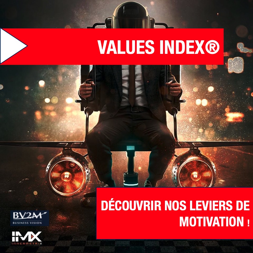 INNERMETRIX® et l'évaluation des Valeurs selon le VALUES Index®