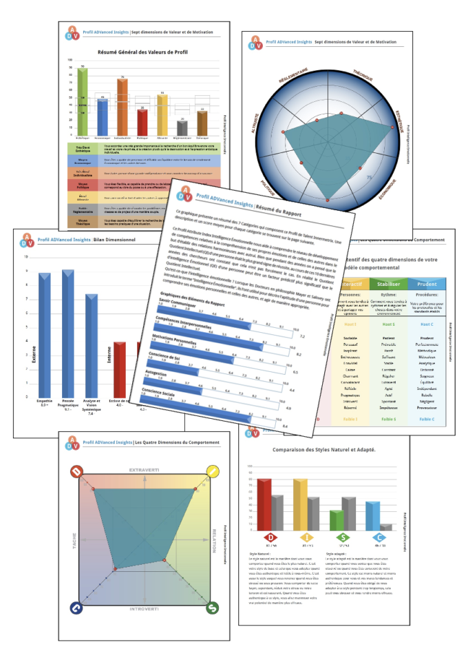 INNERMETRIX® les Comportements avec le DISC Index®