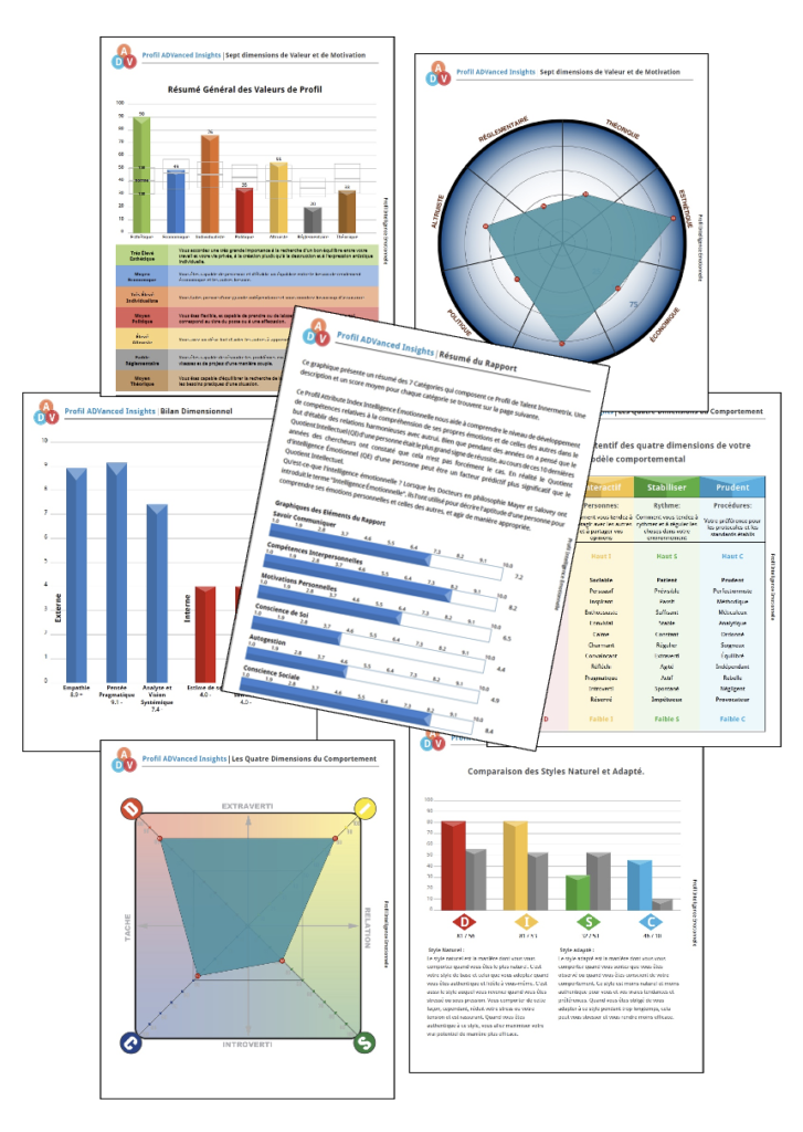 INNERMETRIX® les Comportements avec le DISC Index®